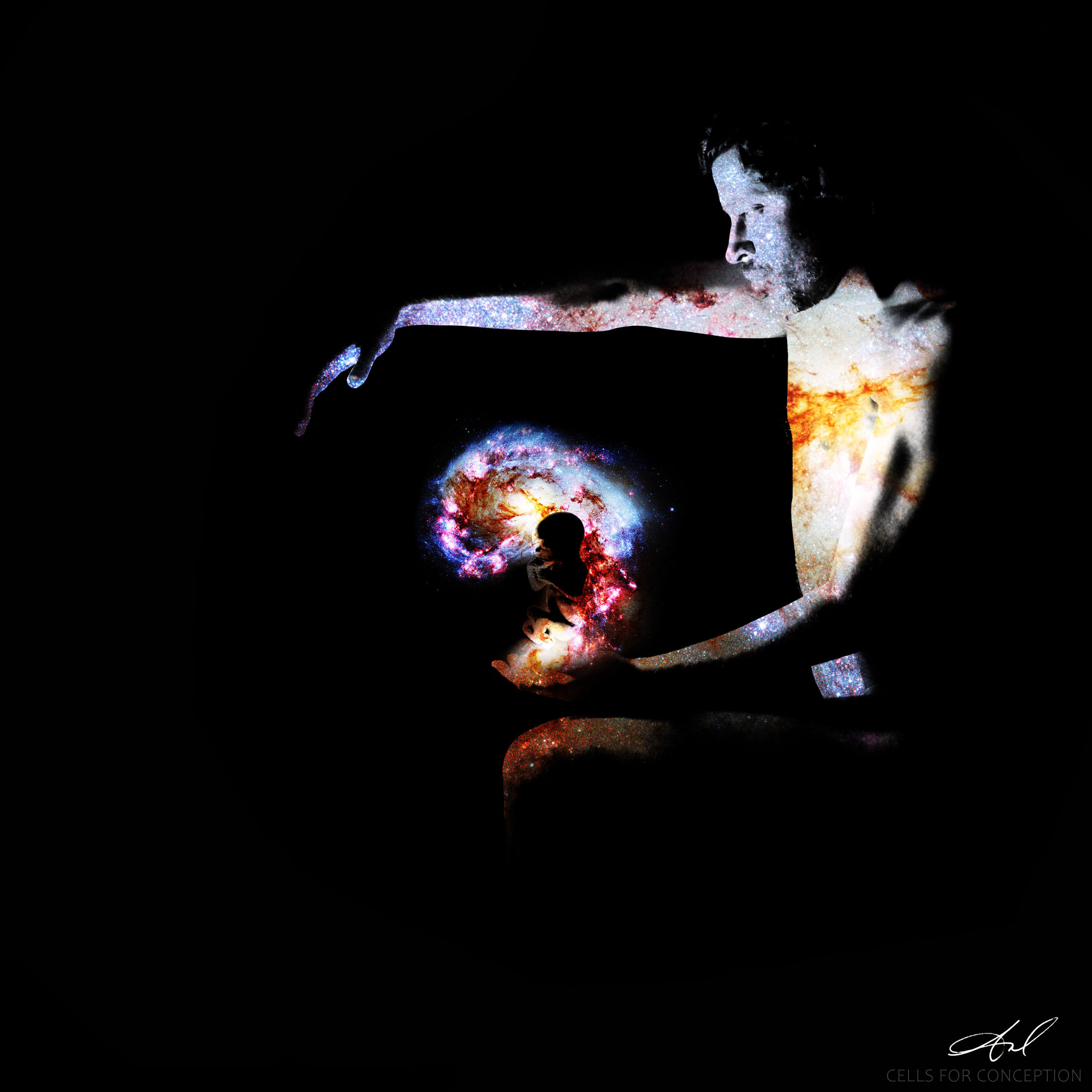 CELLS FOR CONCEPTION - Angel